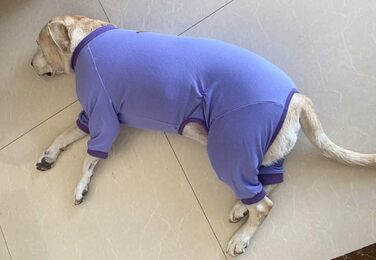 Піжама для собак великих порід: захист суглобів, анти-шерсть, фіолетовий колір