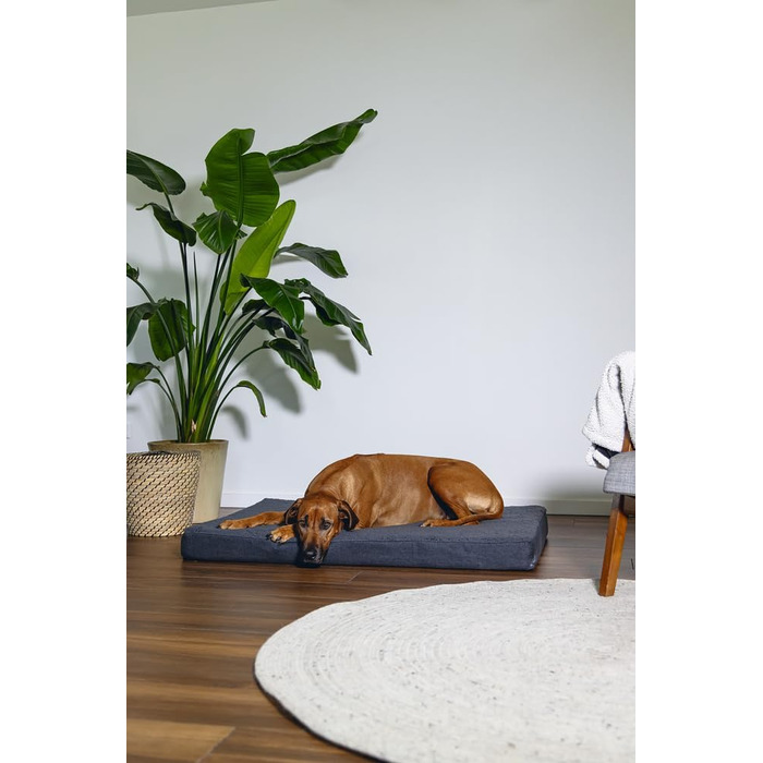 Ортопедичне ліжко для собак Beeztees Zira, сірий, 120x80x10 см