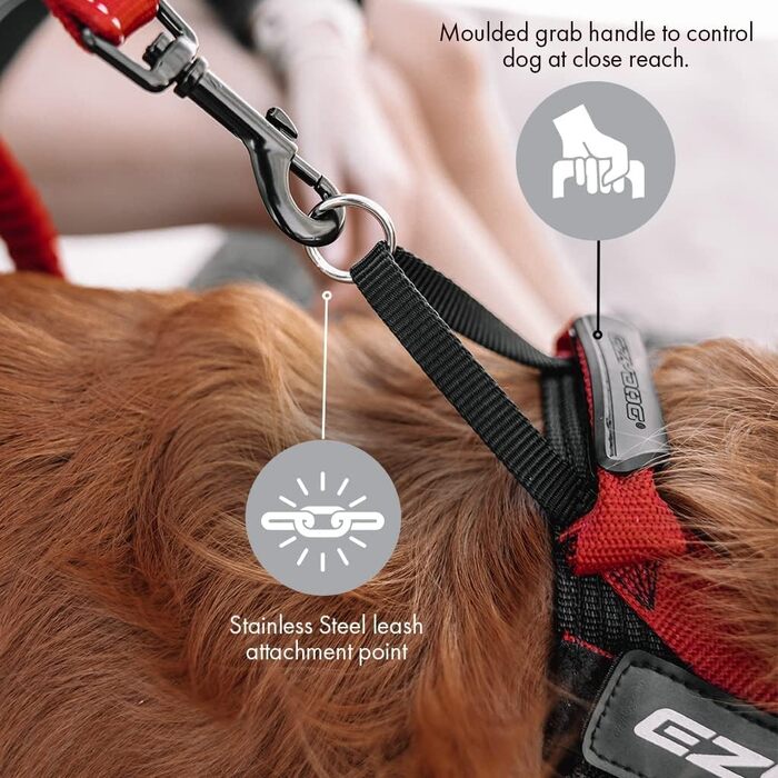 Шлея для собак EZYDOG Express, ергономічна, зручна, для малих, середніх і великих порід, регульована, синя, розмір S