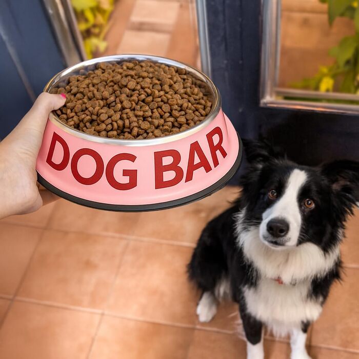 Подвійний набір мисок для собак Fisura Dog Bar з нержавіючої сталі, 500 мл + 1000 мл, рожевий та червоний, антиковзні