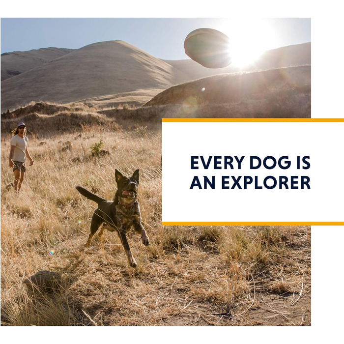 Шлея для собак з кишенями RUFFWEAR Switchbak, зручна для щоденних прогулянок і коротких подорожей, для малих порід, синя Blue Moon