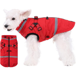 колір: гниль