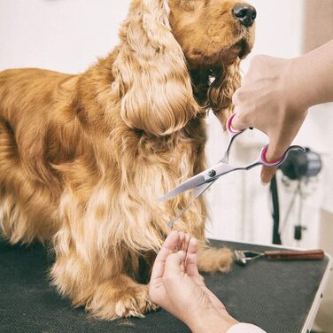 Набір професійних ножиць для грумінгу собак SIQI - для вирівнювання, прямі, вигнуті ножиці та гребінець для довгого та короткого волосся