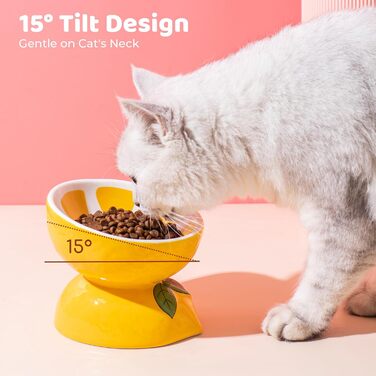 Котло propositions для котів TIGOADT, кераміка, піднята миска, рожевий колір, дизайн 