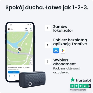 GPS-трекер для котів: відстеження в реальному часі та історія маршрутів
