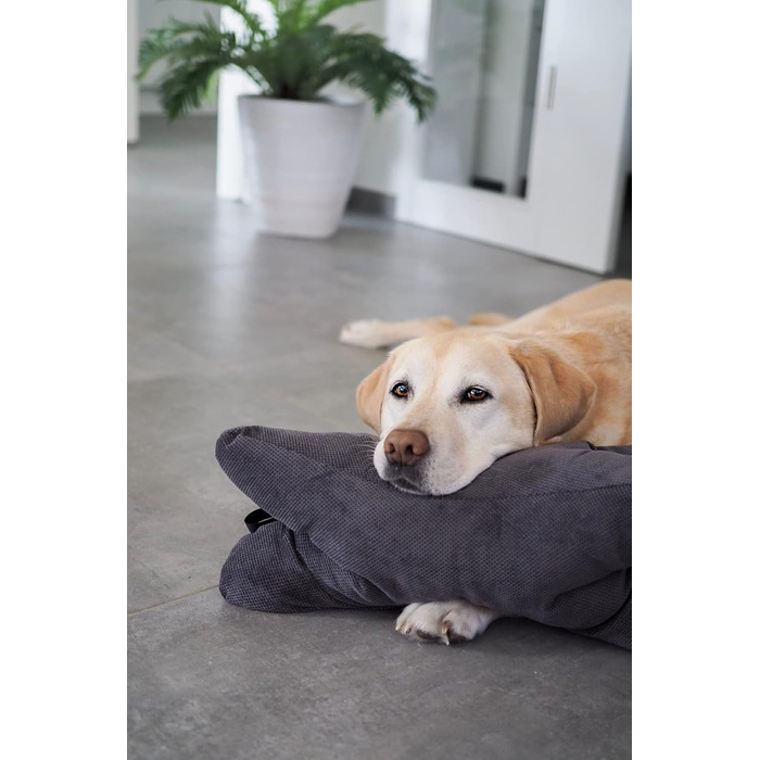 Подушка для собак Lebon Cruto XL - м'яка, для відпочинку та ігор, Made in EU