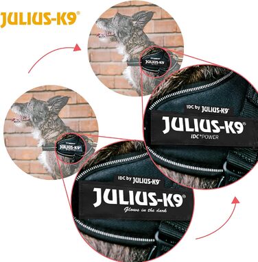 Шлея Julius-K9 IDC Power, розмір XL/2, мідно-помаранчева