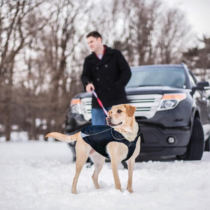 Водонепроникна куртка для собак Kurgo North Country з підкладкою та світлодіодним освітленням, чорний, M EU