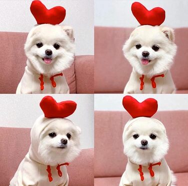 Теплий худі для собак XIAOYU: зручний зимовий одяг для цуценят та собак, теплий комбінезон з капюшоном