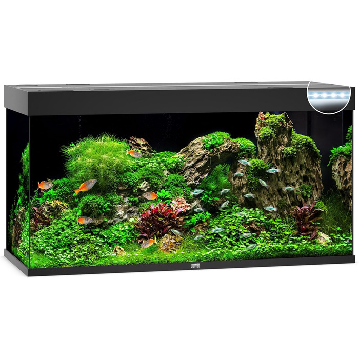 Акваріум Juwel Rio 350 LED, світле дерево, 350 л