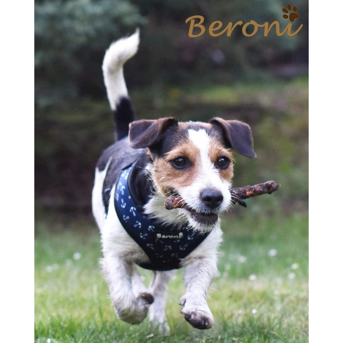 Нашийник для собак Softgeschirr Anker Maritim: м'який, регульований, для відпочинку, розмір L (37-42см/47-63см)