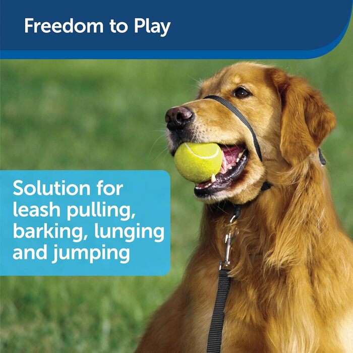Шлейка для собак PetSafe Easy Walk, чорна, середнього розміру (M/L)
