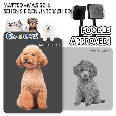 Набір щіток та гребінців Slicker для великих собак з довгою шерстю – щітка для розплутування з пінами 22 мм для Голден Ретріверів, Пуделів, Дудлів та котів – професійний догляд за шерстю з дерев'яною ручкою та шкіряним еталожем (Чорний)