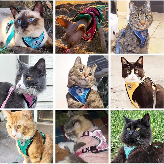 Набір для кота PUPTECK: шлейка та поводок з анти-уникненням, світловідбиваючі елементи, регульована м'яка дихаюча сітка, аквамарин, розмір S