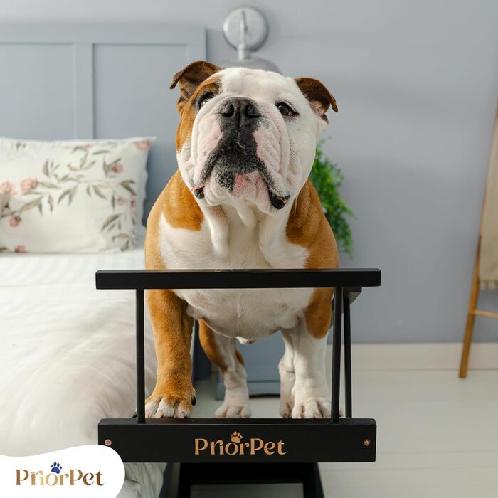 Сходинки для собак PRIORPET з берези з поручнями - регульована висота до 94.5 см - складаються - антиковзні ручки - для малих собак до 23 кг - коричневі (чорні)