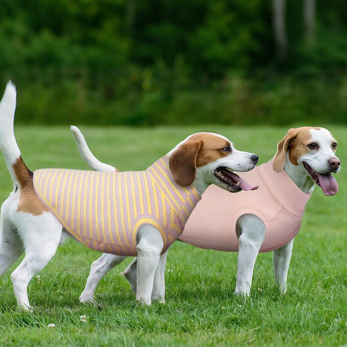 Пуловери для собак Kuoser, 2 шт. Тепла флісова жилетка для маленьких собак, зручний собачий светр, темно-фіолетовий та смугастий (L, фіолетово-рожевий)