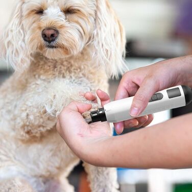 Електричний триммер для собак та котів, 5 швидкостей, акумуляторний, професійний, інструмент для догляду за лапами, для малих та середніх порід