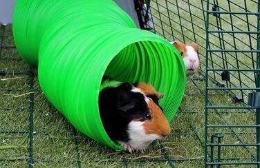 Клітка-тунель для кроликів Snugglesafe FlexiWeather, зелена
