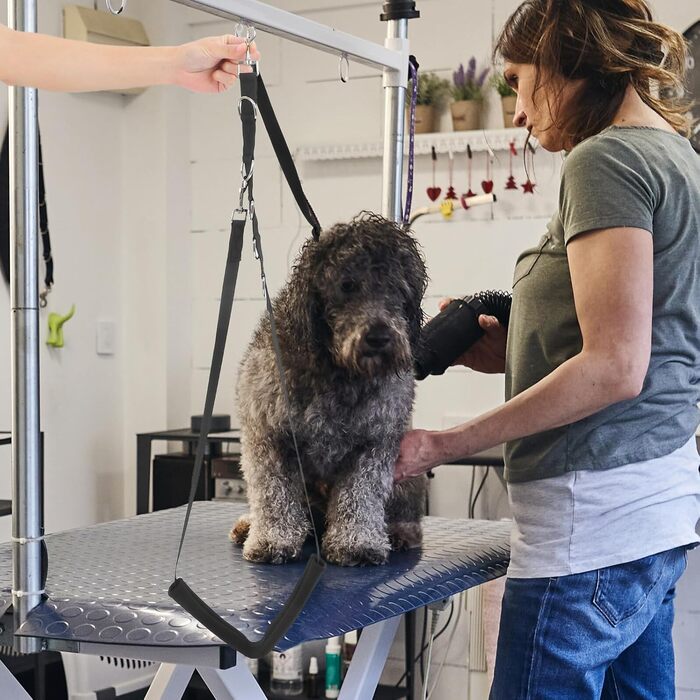 Регульований поводок та пояс для грумінгу собак Alasum для маленьких та середніх порід, безпечні ремені для миття та стрижки, ергономічна собача петля для контрольованого грумінгу