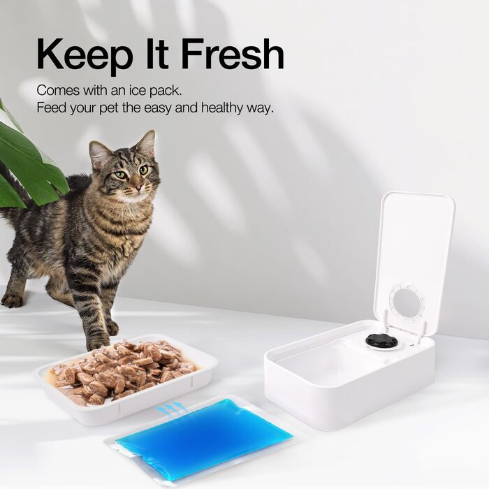 Автоматичний годівник для котів та собак ALL FOR PAWS з таймером, для сухого та вологого корму, миється в посудомийній машині