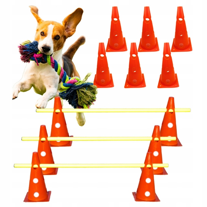 Тренувальний набір для собак Activity Agility: смуга перешкод (12 стійок)
