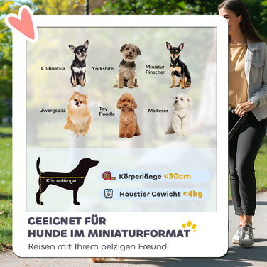 PawHut Коляска для собак Dog Buggy Складна для собак і кішок до 4 кг Cat Buggy з сітчастими вікнами, плечовий ремінь, сумка для зберігання, підстаканник Парасолька Коляска для кішок світло-сіра | Аосом