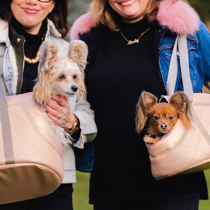 Сумка-переноска для собак та котів Boutique Zoo, 5 кг, рожева (штучна шкіра)