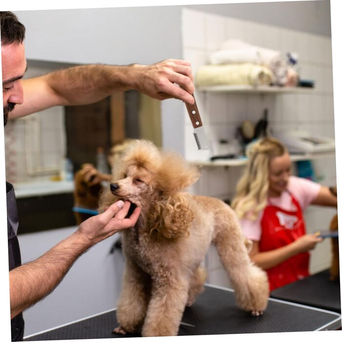 Набір щіток для собак з довгою та середньою шерстю Housoutil: догляд за шерстю та видалення ковтунів. Ергономічні ручки, преміум-якість