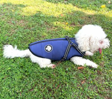 Водонепроникний теплий зимовий одяг для собак, куртка з шлейкою, для маленьких, середніх та великих собак, для Лабрадора, Чихуахуа, Французького бульдога, S (2-3 кг), блакитний