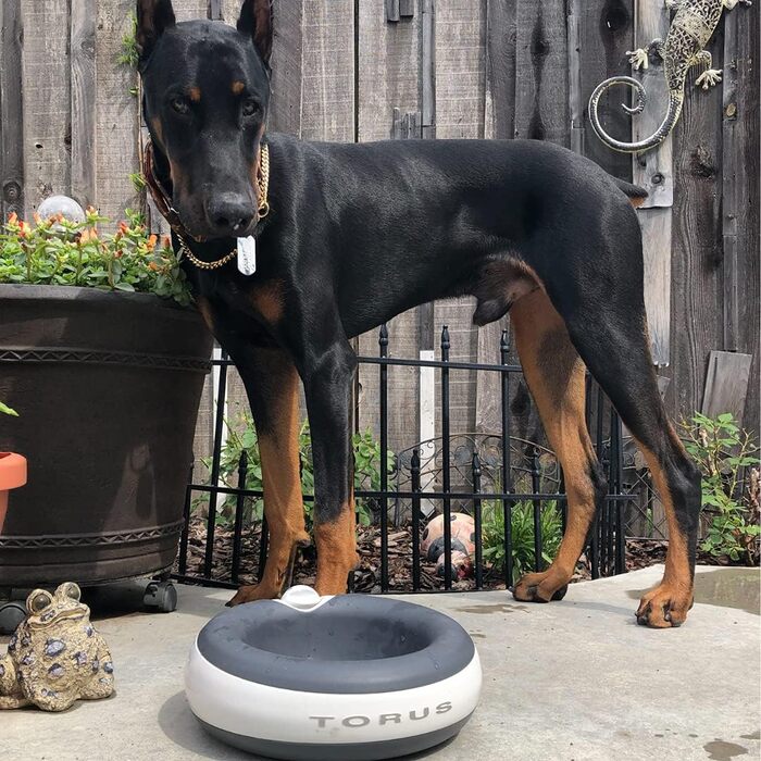 Автоматична поїлка для собак і котів Torus Pet Maxi, 2 л, з фільтрацією, вугільний фільтр, антибактеріальна, без BPA, для дому та подорожей