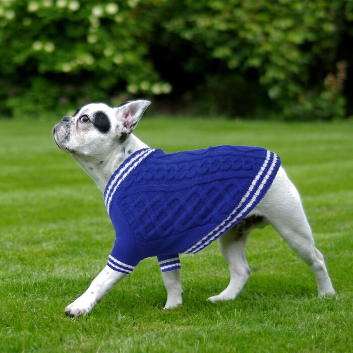 Світер для собак - теплий для чихуахуа, елегантний, з V-подібним вирізом, для маленьких, середніх та великих собак (синій, XS)