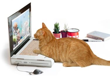 SUCK UK Картонний когтетоп-ноутбук для котів | Іграшка для котів | Когтеточка | Когтекартон | SUCK UK