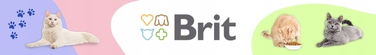 Сухий корм для дорослих котів Brit Premium з лососем, 8 кг