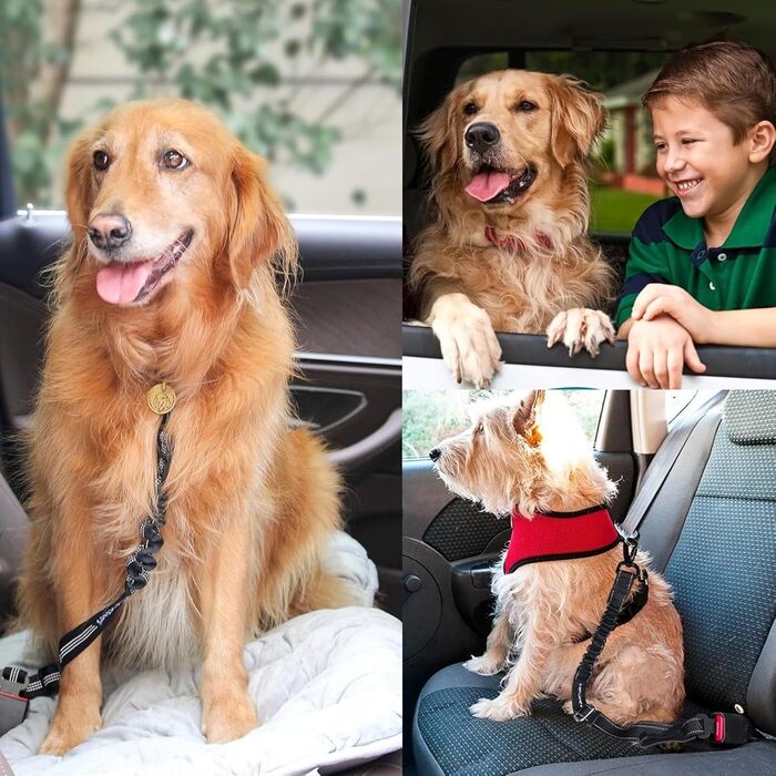 Авторемні для собак, 2 шт., шлейка для автомобіля, регульовані еластичні авторемні для собак, аксесуари для подорожей з домашніми тваринами, підходять для малих, середніх та великих собак (чорний)