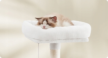 Високий когтеточка-комплекс для котів Feandrea: ігровий центр з лежаком та стовпчиком (161 - 220 см)