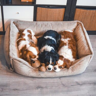 Ортопедичне собаче ліжко 4L Textil IRIS Premium-LINE з Memory Foam (100x80 см, коричневе)