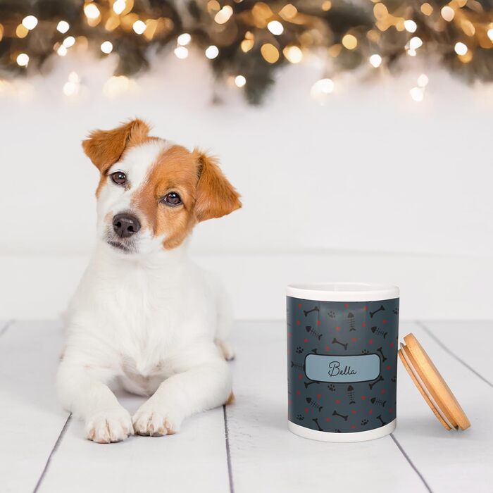 PICANOVA Набір мисок та контейнерів для корму для собак з іменем - Персоналізований набір у різдвяному дизайні - Керамічний набір мисок та контейнерів для собак як подарунковий набір для власників домашніх тварин - Дизайн Candy Bones (Набір Рибка та Кістк