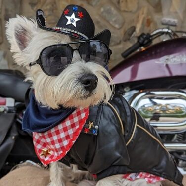 Зимовий теплий одяг для собак NIULA, мотоциклетний, з PU-шкіри, водонепроникний, розмір XXL