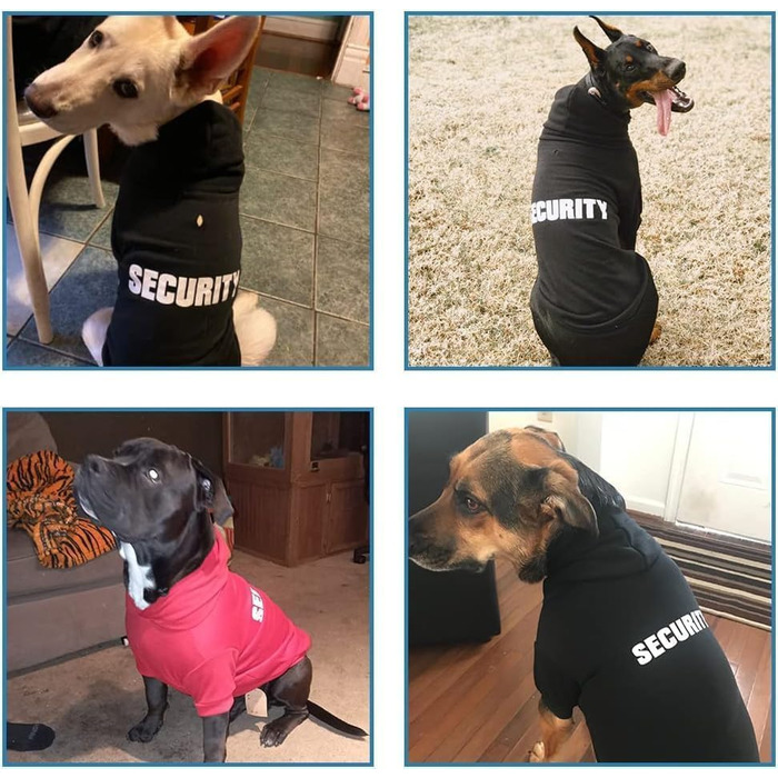 Світшот для собак BINGPET: м'який та зручний флісовий пуловер для малих та великих собак, преміум-якість, підходить для всіх порід, чорний, розмір S/M (обхват грудей 48 см)