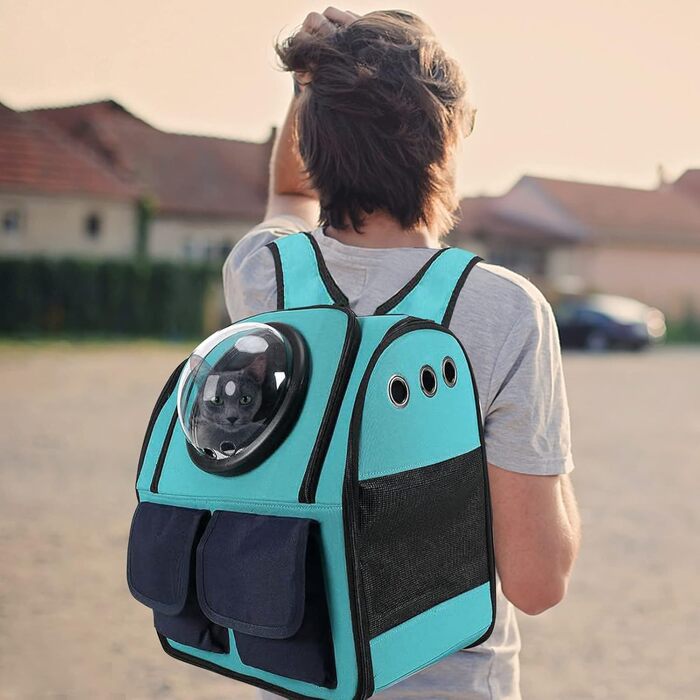 Рюкзак для кота PETCUTE, модель 