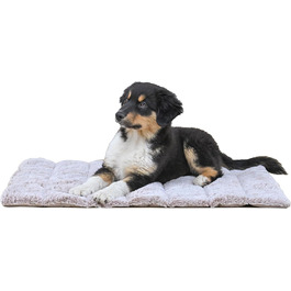 колір: бежевий