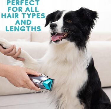 Професійна машинка для стрижки собак та котів BarberBoss QR-9088, бездротова, для густого хутра, комплект