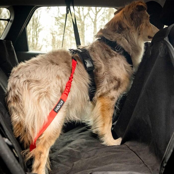 Універсальний безпечний ремінь STUCH для собак та котів - підходить для всіх порід собак та типів автомобілів (чорний колір), OneSize