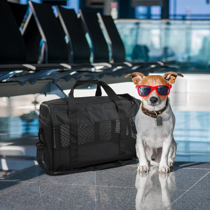 Транспортна сумка для кота/собаки Amexo, складана переноска для тварин, переноска для котів та собак середніх розмірів до 10 кг, 44 x 27 x 28 см (чорна)