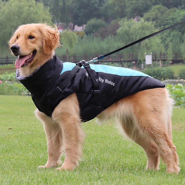 Водонепроникний зимовий одяг для собак PETCUTE, тепла куртка для маленьких та середніх собак, з регулюванням, світловідбиваюча, блакитна (2XL)