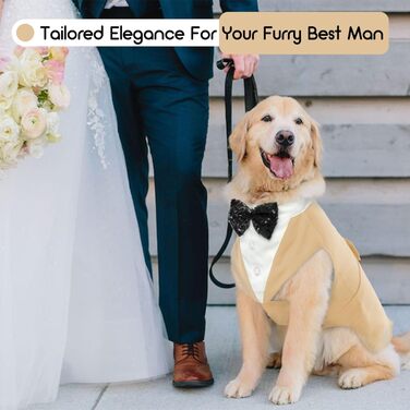 Костюм для собак, бандана, аксесуари для святкування: весілля, день народження, Хелловін (XXL, шампань)