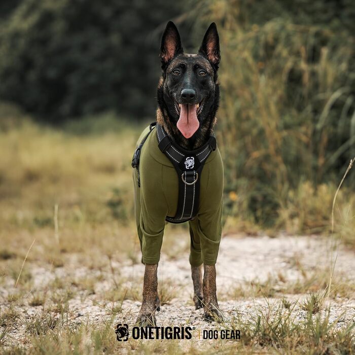 Комбінезон для собак OneTigris FUZZBUD, зелений, L: теплий, еластичний, для собак середніх та великих порід, захист від випадання шерсті, алергії, витікання, ран