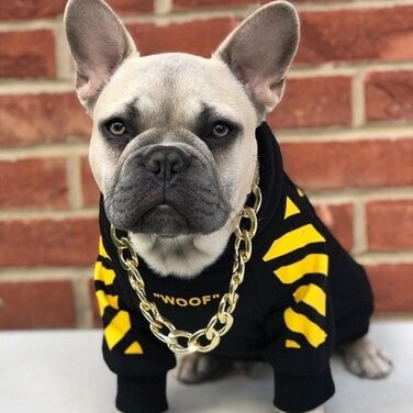 Жовтий теплий зимовий одяг для собак, курточка-худі для маленьких порід (Шнауцер, Коргі, Французький бульдог, Тедді) XXL