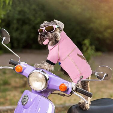 Зимовий одяг для собак NIULA: куртка з PU-шкіри, мотоциклетний стиль, водонепроникна, розмір M