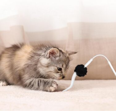 Інтерактивна іграшка для котів TGFIX 3 в 1: електрична, з колесами та лазером, розвиваюча. Включає 3 запасні пружини, USB-зарядка.